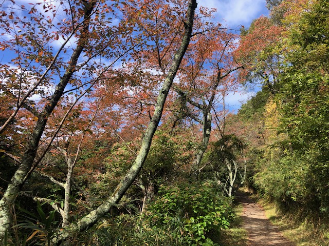 お客様の好み、感性は様々です。