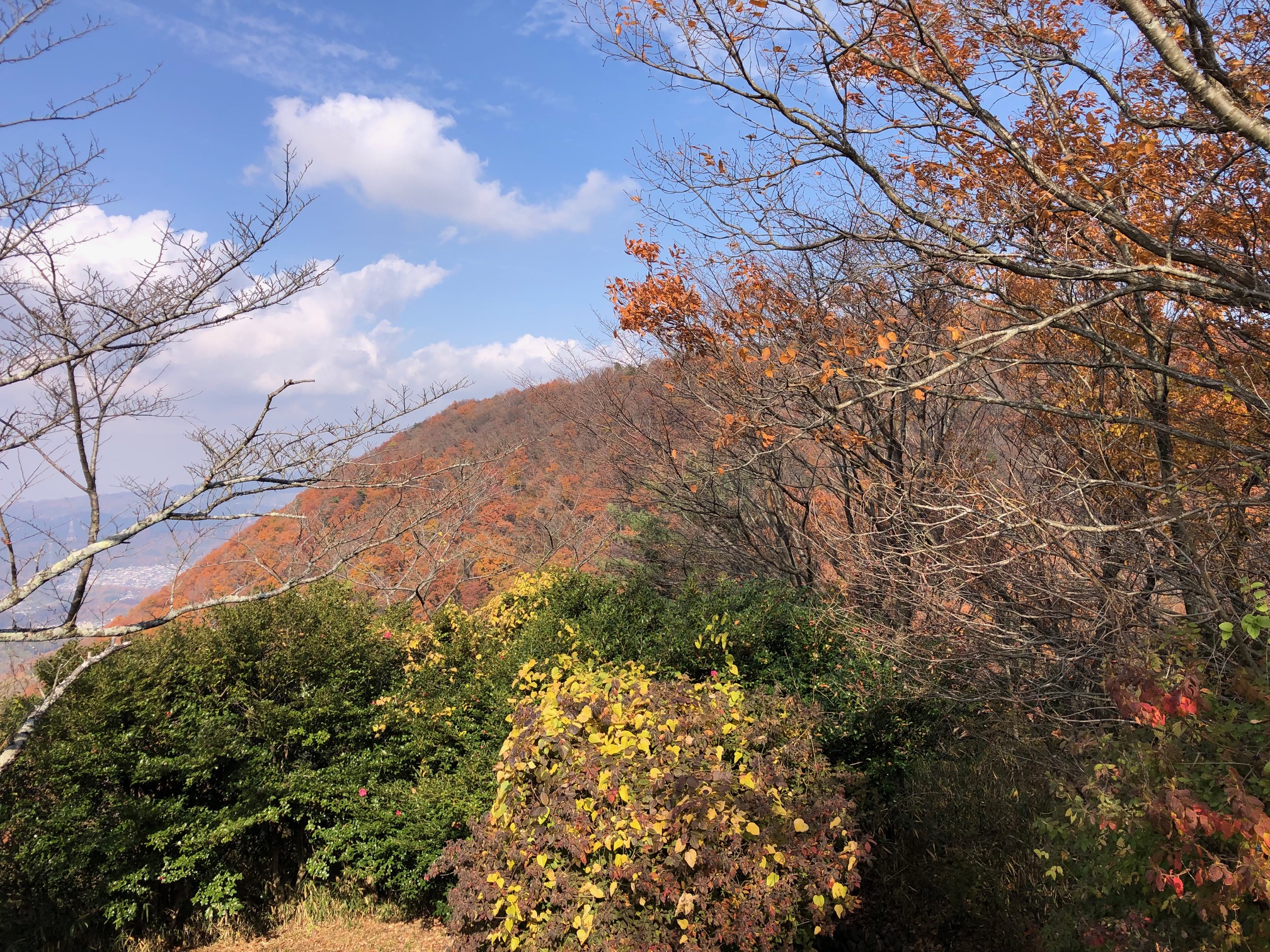 お客様の好み、感性は様々です。